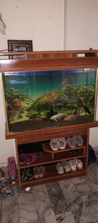 Beautiful 3 Feet Aquarium available for sale.