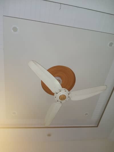 Ceiling fan. . gfc