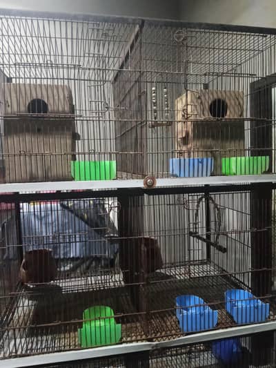 Cage for bird's 8 partition