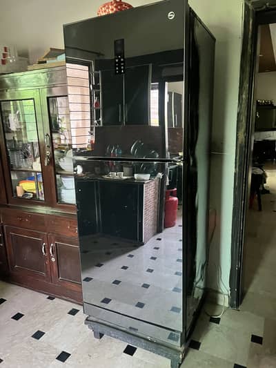 PEL Full size jumbo glass door inverter fridge with digital display