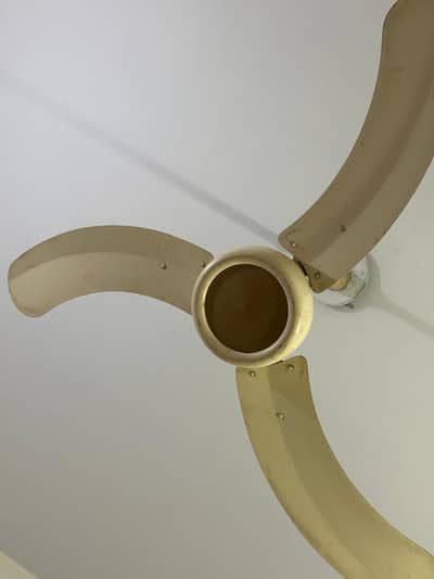 ceiling fan
