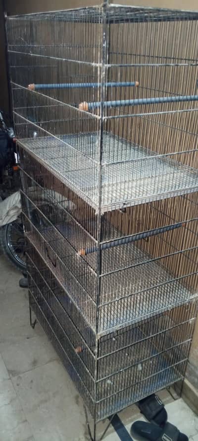 pinjra fit 2/5 1/5 mote Taron ka hai bhari pinjra ha tray iski Bari