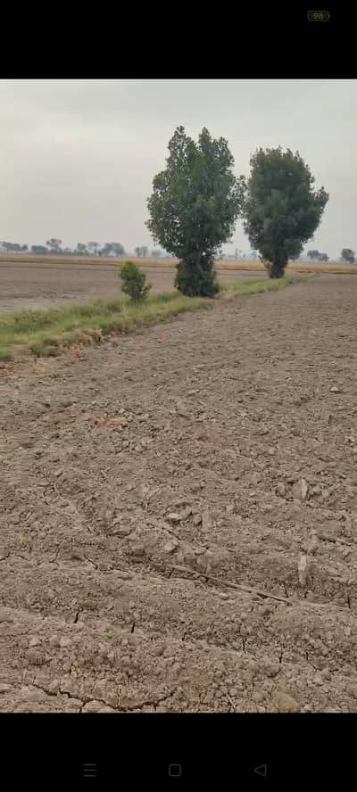 Agriculture land for sale