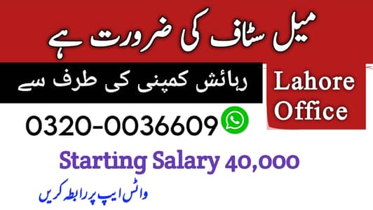 Male staff jobs available