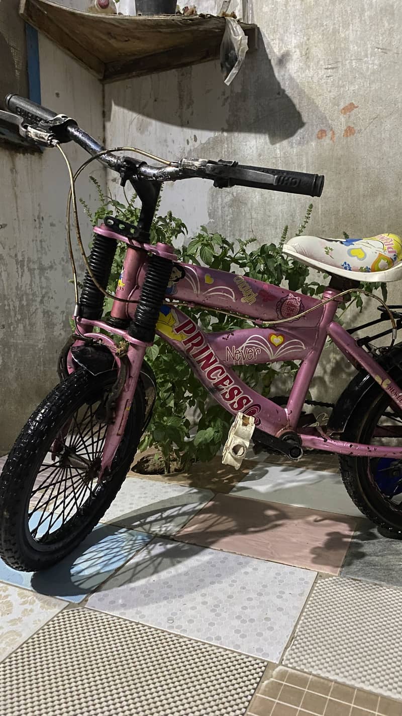 Double Chimta Cycle 1