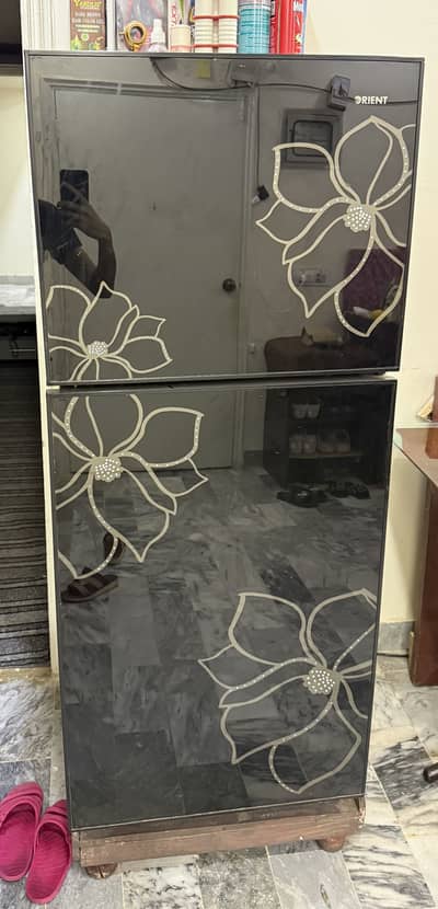 Orient fridge