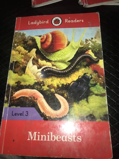 Grade 3 And 4 Readers