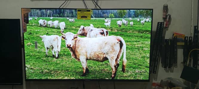 48 inch smart led led 43,40 inch led 3 years warranty