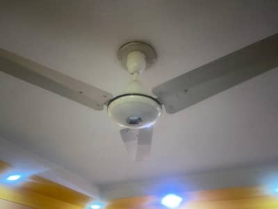 Ceiling Fans for sale