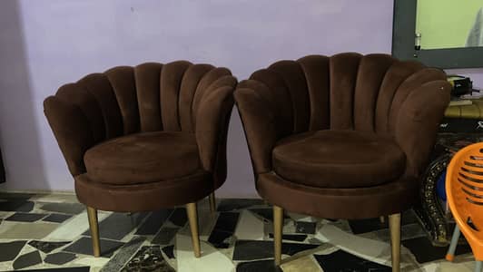 Velvet poshish room chairs