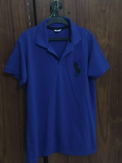 blue color polo shirt  kids