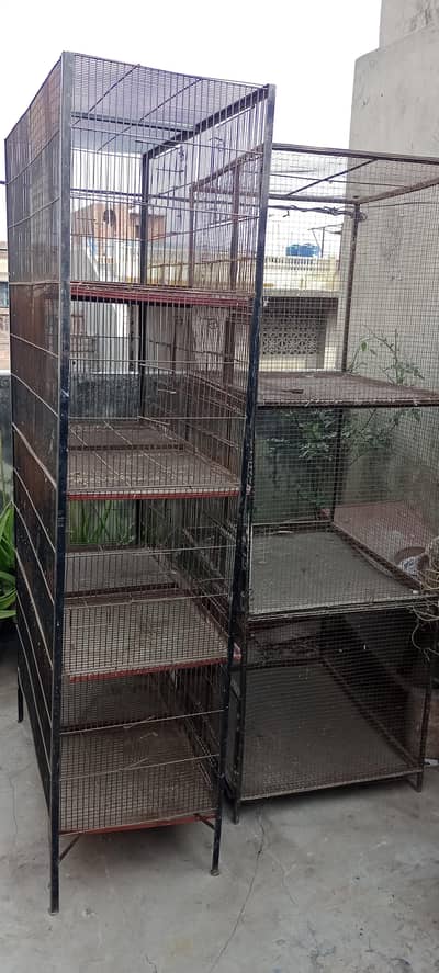 Birds Cages