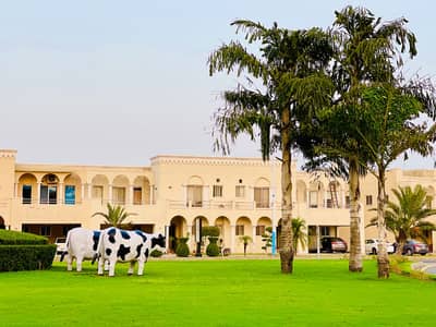 Investor Choice! 1 Kanal Fully Paid Plot | Bahria Orchard Phase 4 | 140 Lac