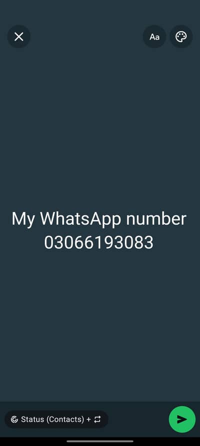 one+ 9 pro 5g 12gb 256gb just phone