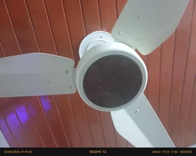 Ceiling Fan (Pak Fan)