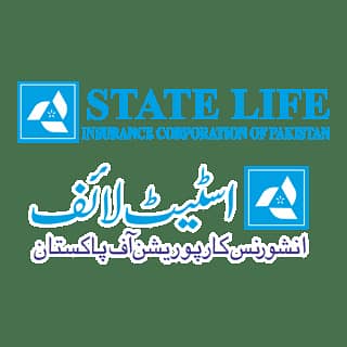 Sales executive in state life insurance