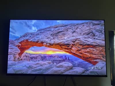 Multynet 55 inch NX20