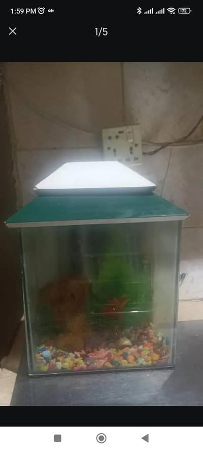 aquarium with filter for sale urgent