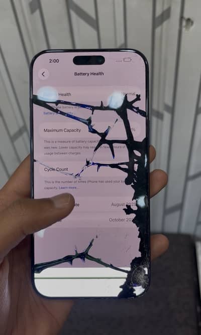 17 pro max non pta panal damage