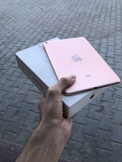 Ipad Mini 5 (64GB)