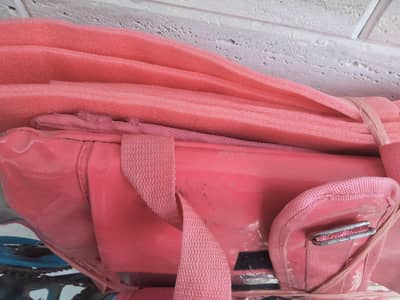 food panda delivery bag