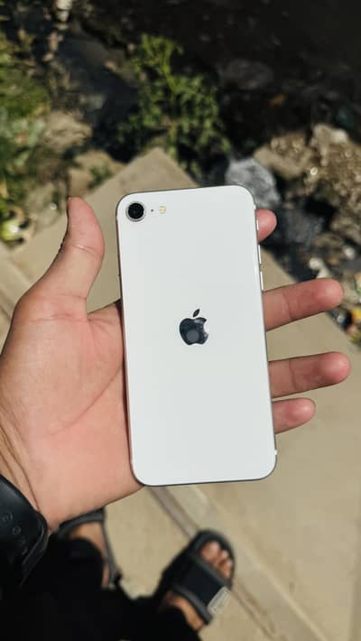 Iphone Se 2020 New condition 10 by 10 all ok