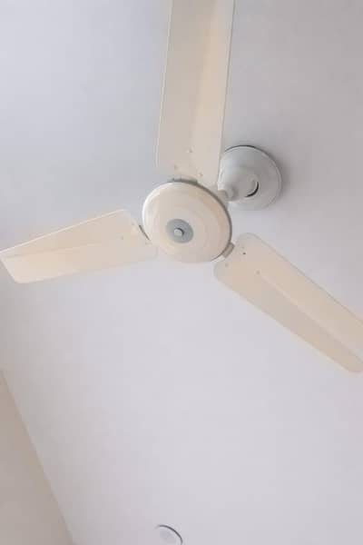 Royal ceiling fan cooper