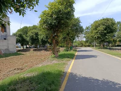Best Location Plot 1st Street Back of Main Boulevard Near Park NLC Pearl Enclave