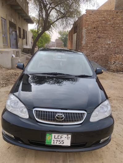 totally Carola Gli 07 modal car for sale 03451400338 03464952094 jazz