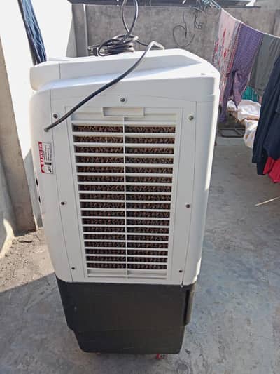 Coller for sale good condition