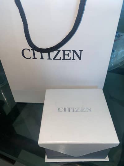 Citizen Quartz Classic (model BI1044-59A)