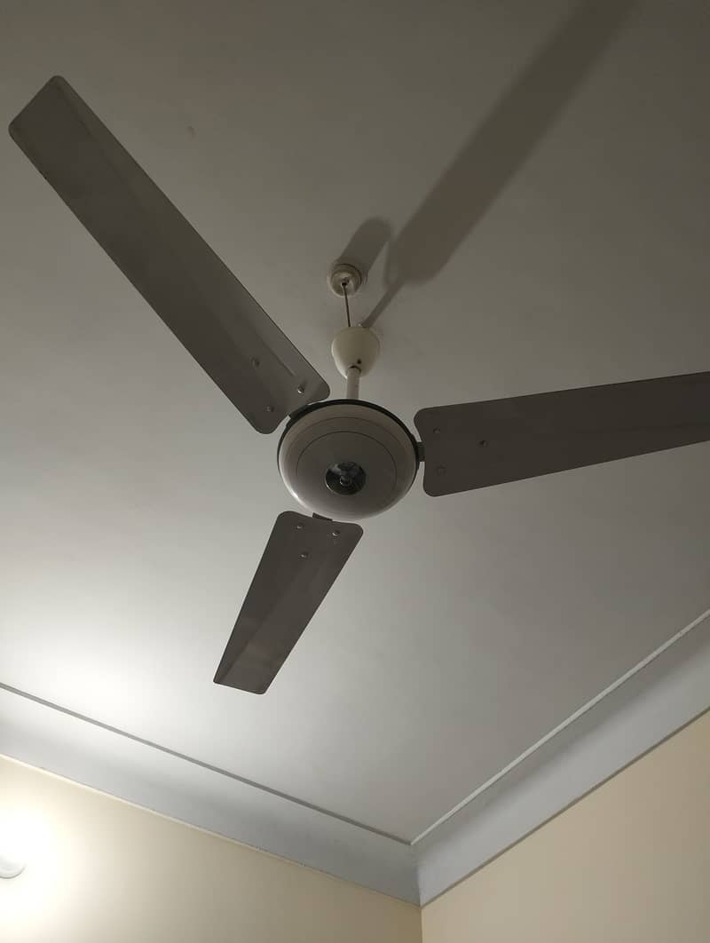 Ceiling Fan 1