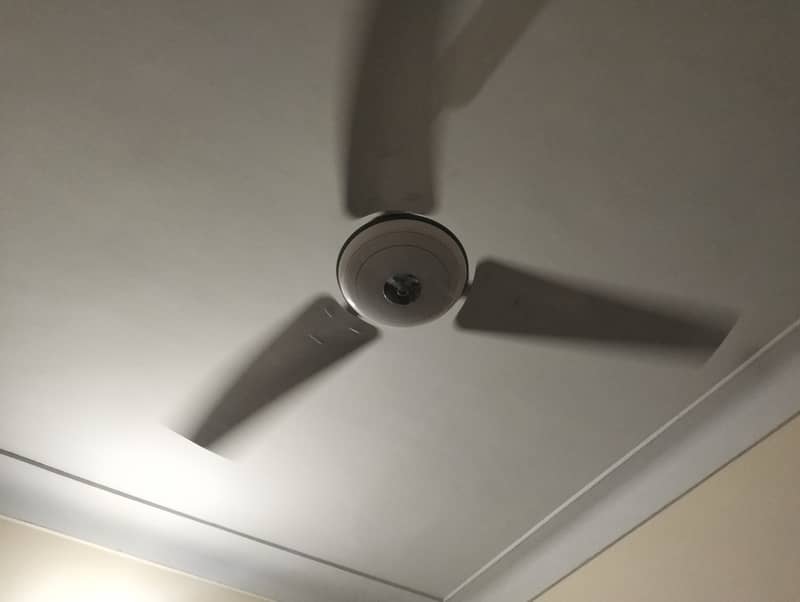 Ceiling Fan 2