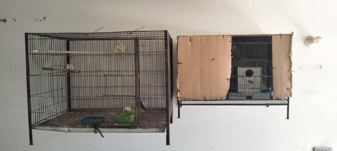 cage for sale