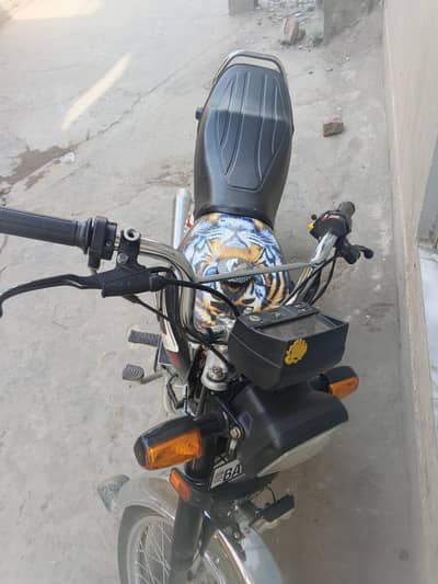 CD 70 Black 2025 Model