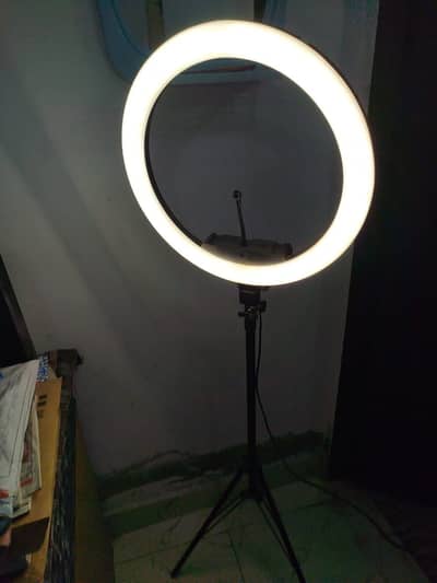 BD-460 Full Size Ring Light with Stand – 10/9 Condition 