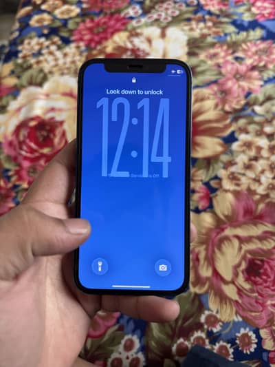 iphone 12 mini Exchange possibly