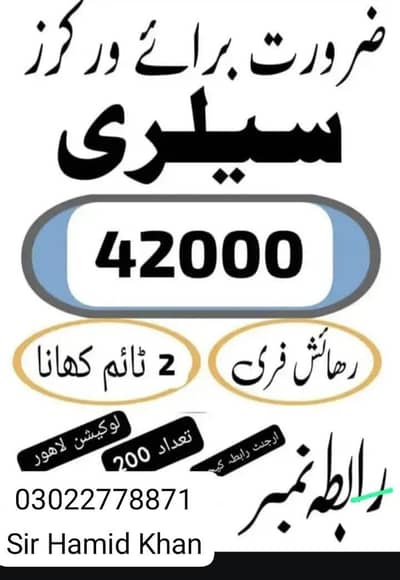 Need Urgent staff biscuits packing Factory in lahore