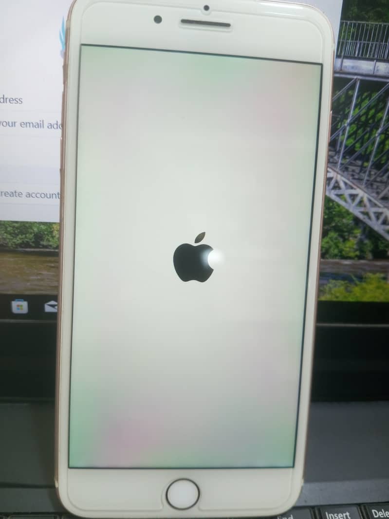 Apple iPhone 7 Plus 1