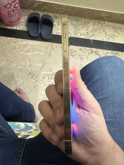 12promax PTA APROVED