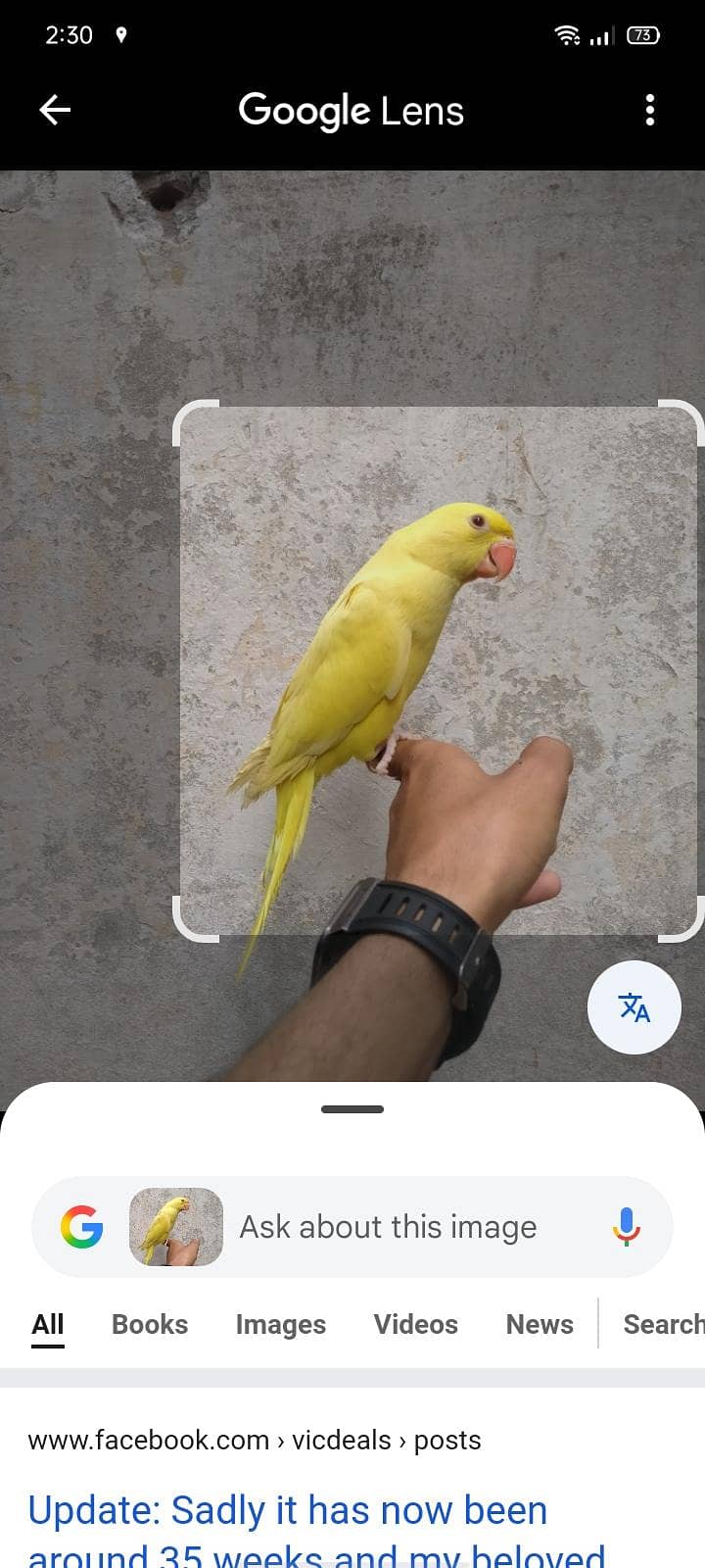 Zero bite piece available 0