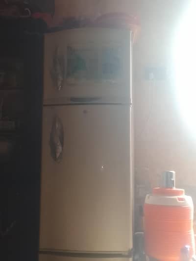 waves fridge