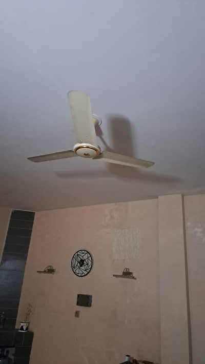 Ceiling Fans