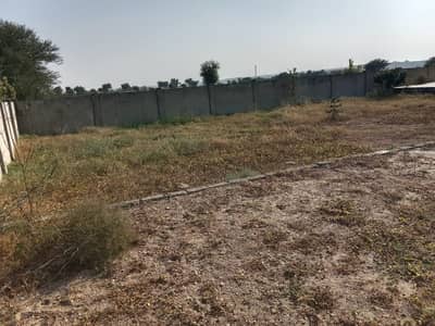 Agricultural Land In Neela Dullah For sale