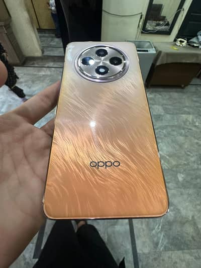 Oppo Reno 12 F 5G