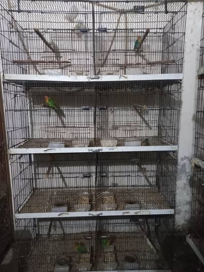 Birds folding cages