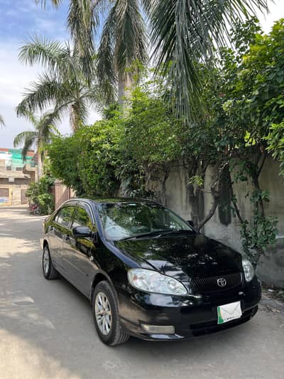 Corolla XLI convert GLI