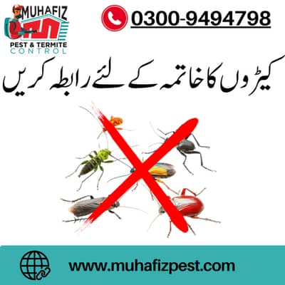 Fumigation Spray Professional Fumigation Services You Can Trust