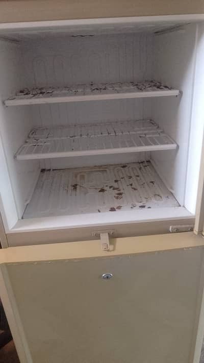 Fridge for sale frost free great condition negotiable