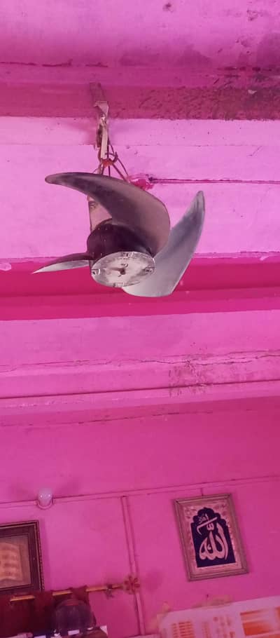 Rocket Fan Vip & Good Condition Big Size .